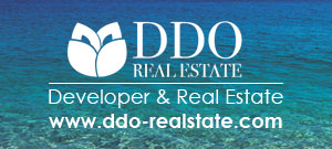 Developer & Real Estate